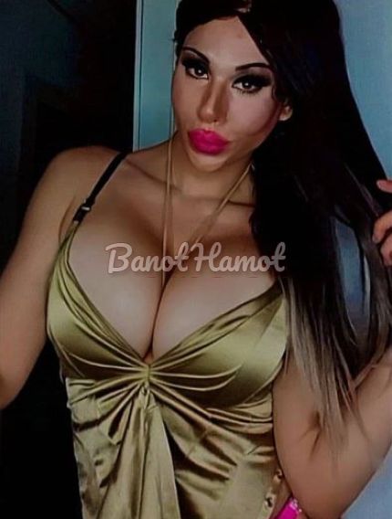 קוקסינליות קוקסינליות