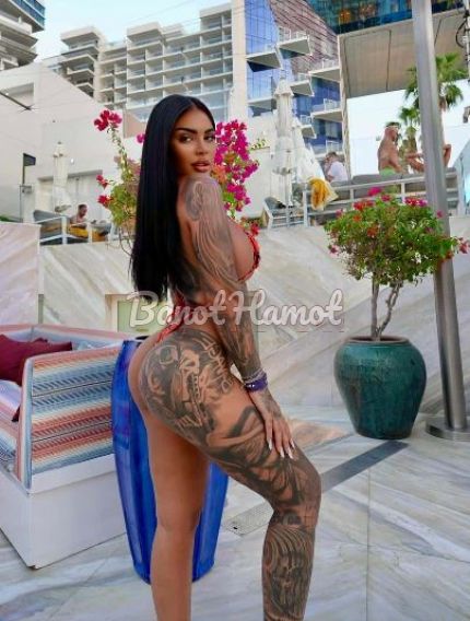 קוקסינליות קוקסינליות