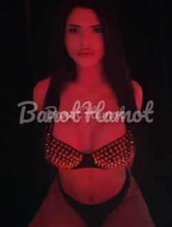 בארבי חדשה בחיפה