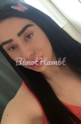 קוקסינלית רוסיה חדשה בקריות