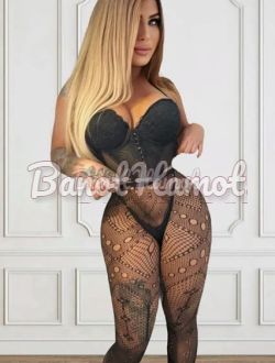 קאמילה הקוקסינלית באשדוד