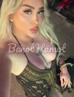 קוקסינלית מלכת סאדו